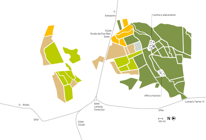 Statti - Storie in vino dal 1784