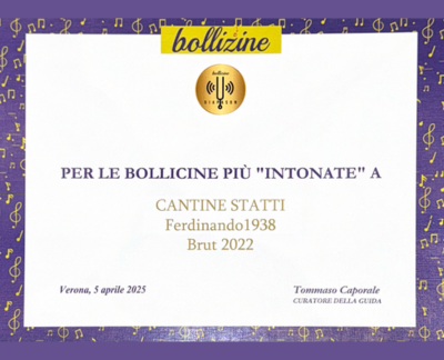 GUIDA BOLLIZINE 2025